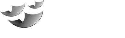 mitalcopy