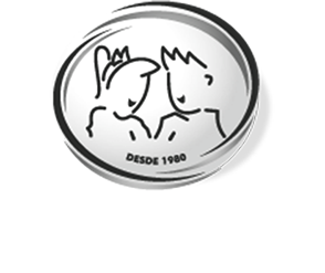 colegio-sonia-marcondes